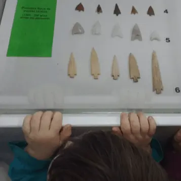 desarrollo intelectual